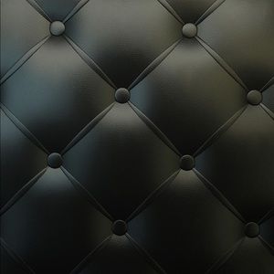 Meet your Posher, Fanny